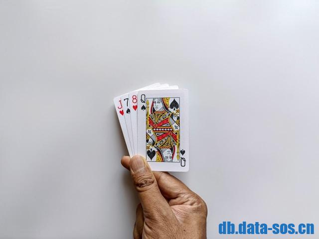 24Casino-pelipaikka – Luotettava Pelielämys ja Monipuoliset Pelaajavaihtoehdot